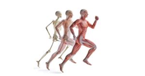Pelvic Control Sprint|Pelvic Positioning|Swing Leg|Kickback Test|Jurdan Test