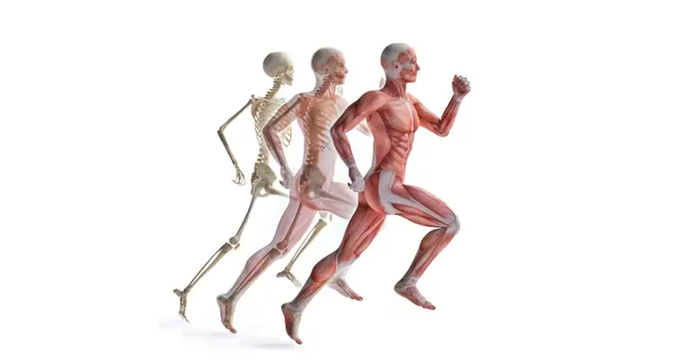 Pelvic Control Sprint|Pelvic Positioning|Swing Leg|Kickback Test|Jurdan Test