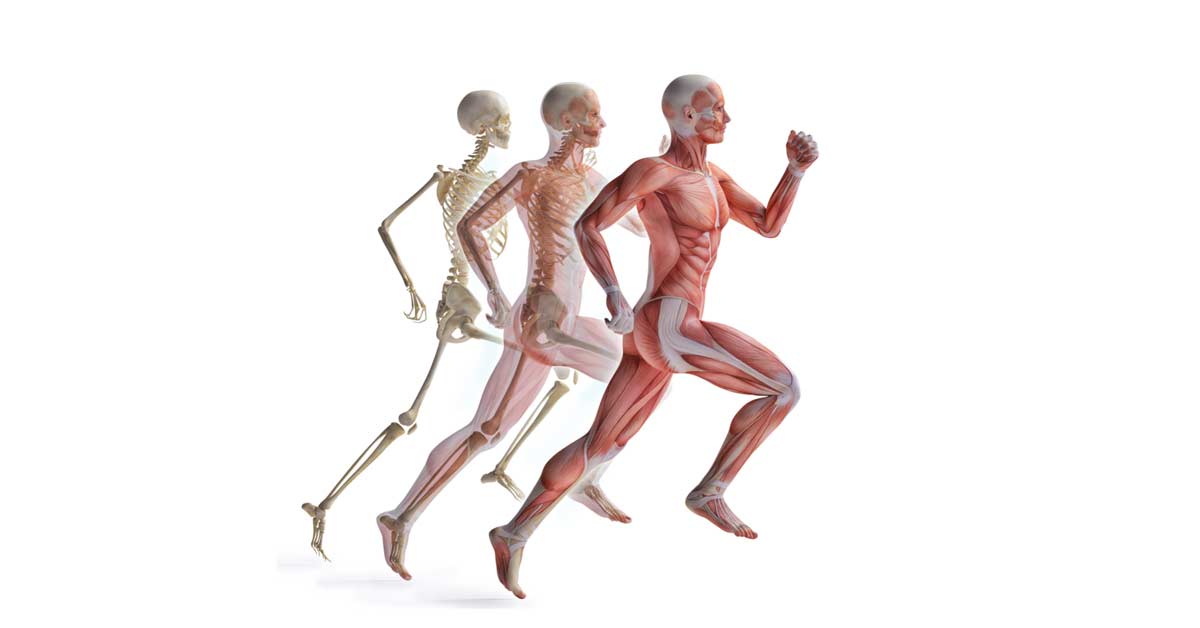 Pelvic Control Sprint|Pelvic Positioning|Swing Leg|Kickback Test|Jurdan Test
