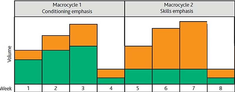Periodization Plan