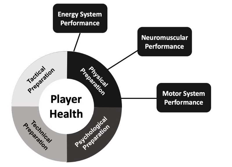 Physical Coactive
