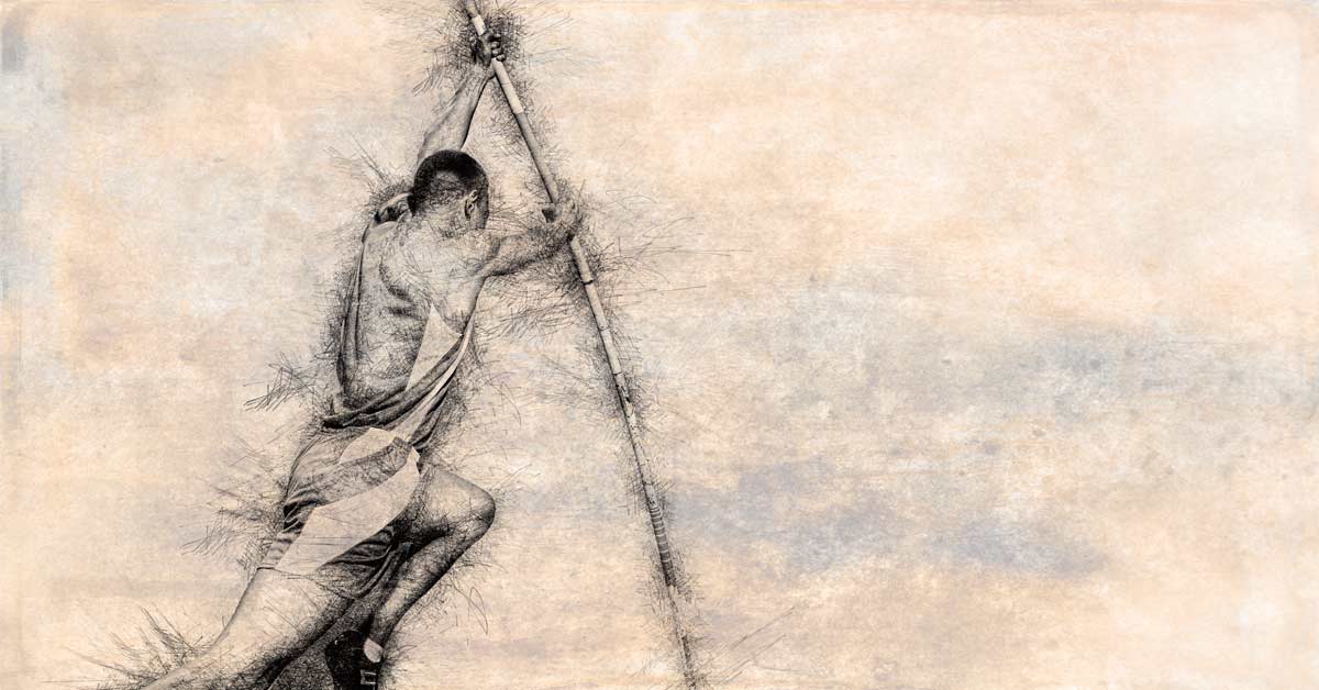 Pole Vault