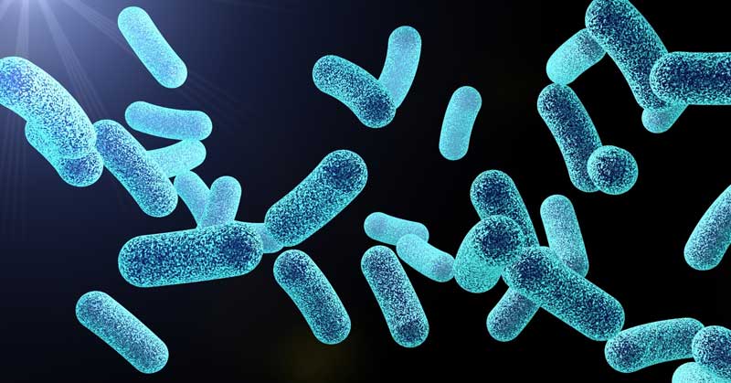 Probiotics Supplementation|Gut Health|Stomach Wall Anatomy|Stomach or Gut|Super Grains|Bacteria|Upper Respiratory Tract Infections|Plane Travel|Iron Absorption|Probiotic Caps|Yogurt Prescription|Sound Probiotics