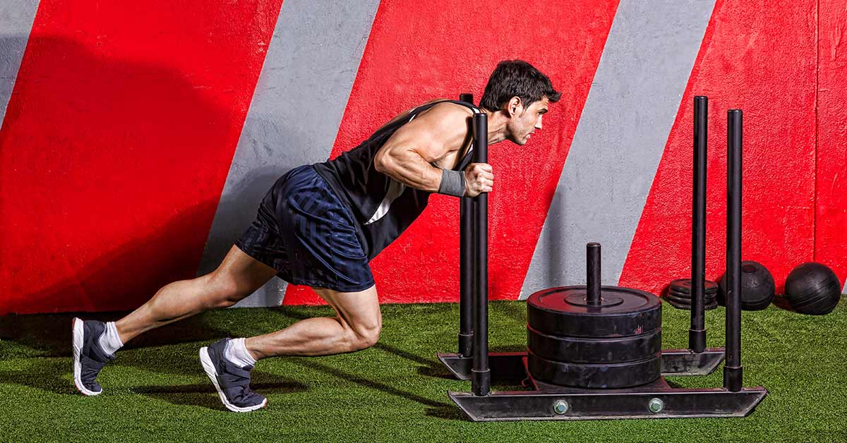 Prowler Push Sled|Messo Cycle Template 1|Macro Cycle Template|Messo Cycle Template 2|Daily Training Template|Coaching|Prowler Sled|Weight Room