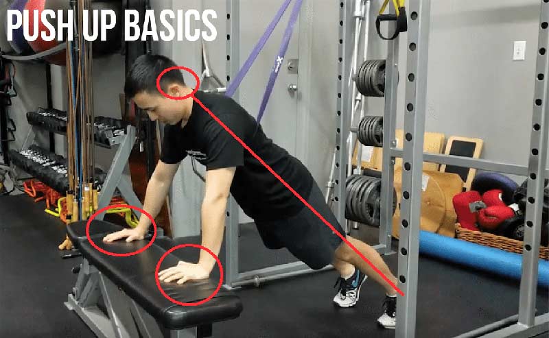 Push Up Basics
