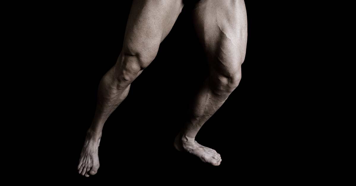 Quadriceps