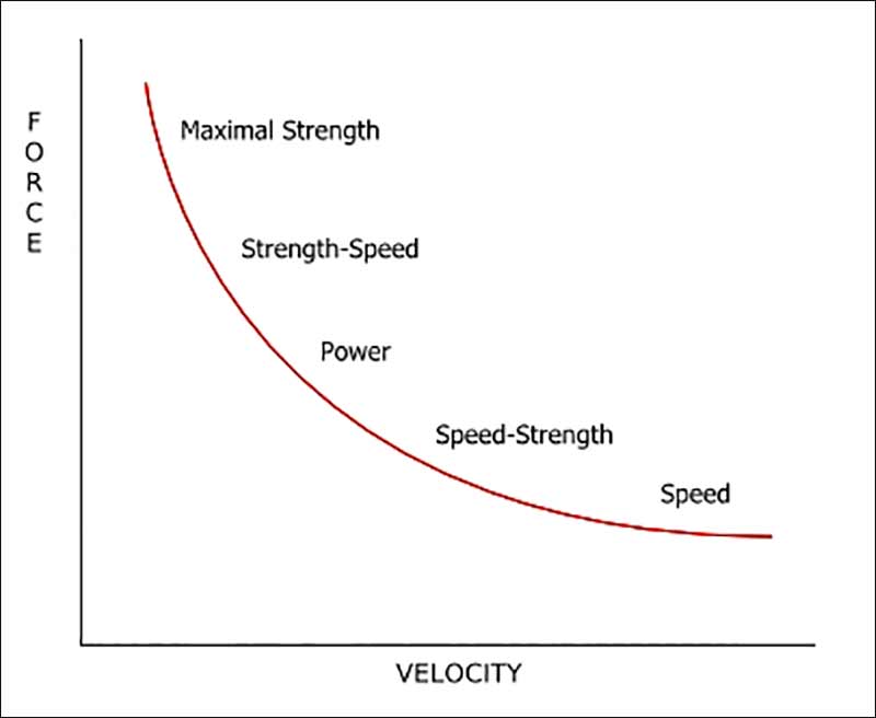 Relationship Between Force and Velocity