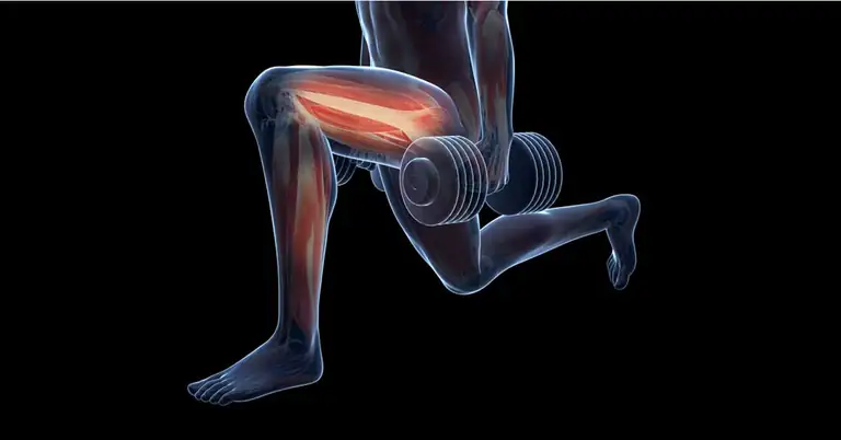 Reverse Lunge|AB Lunge|CD Lunge|Lunge Progression