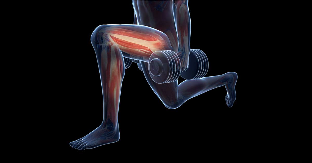 Reverse Lunge|AB Lunge|CD Lunge|Lunge Progression