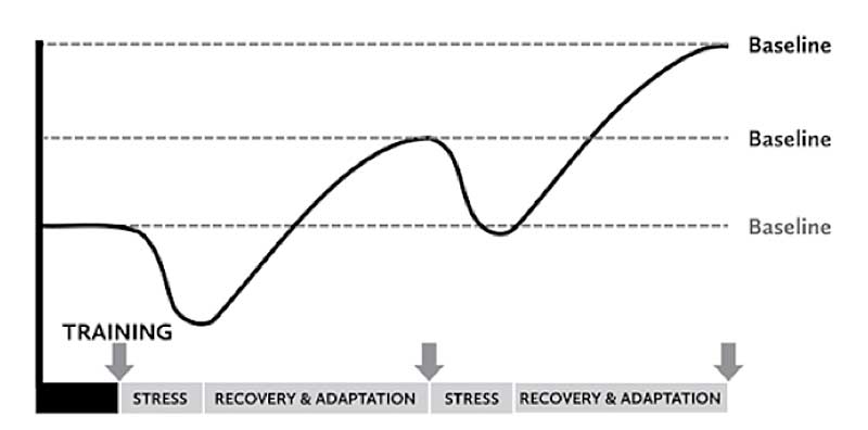 SRA Cycle