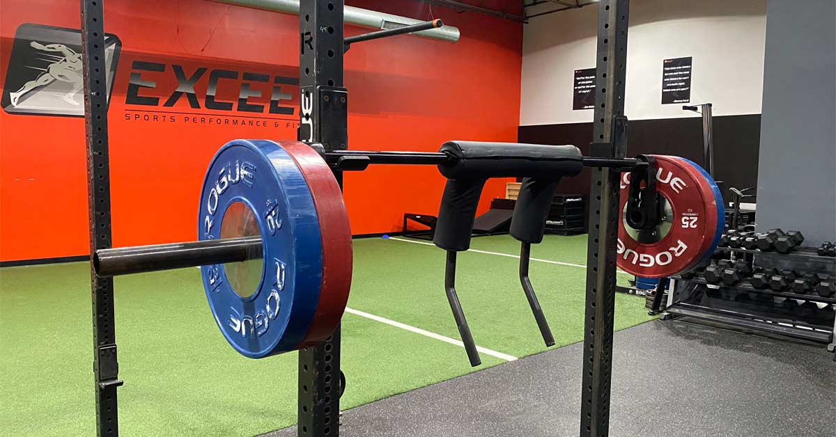 Squat Safety Bar|SS Bars