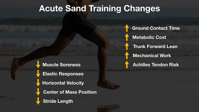 Sand Adaptations