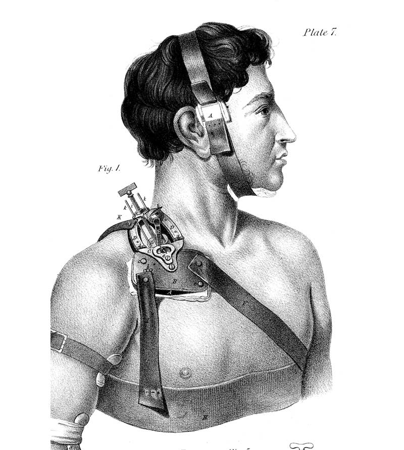 Shoulder Harness