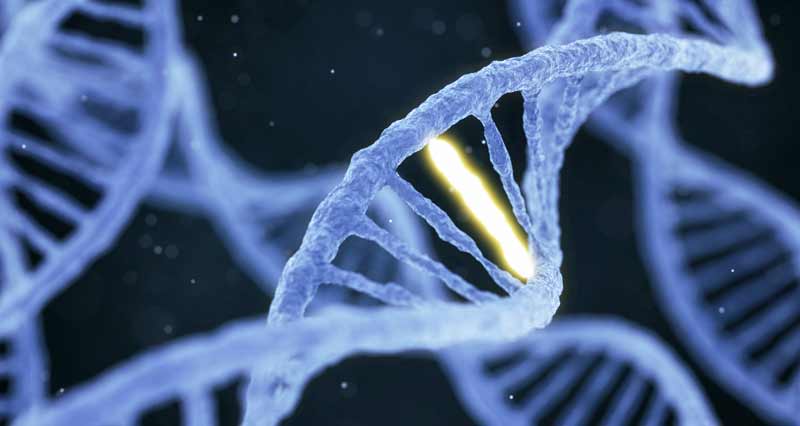 Single Gene