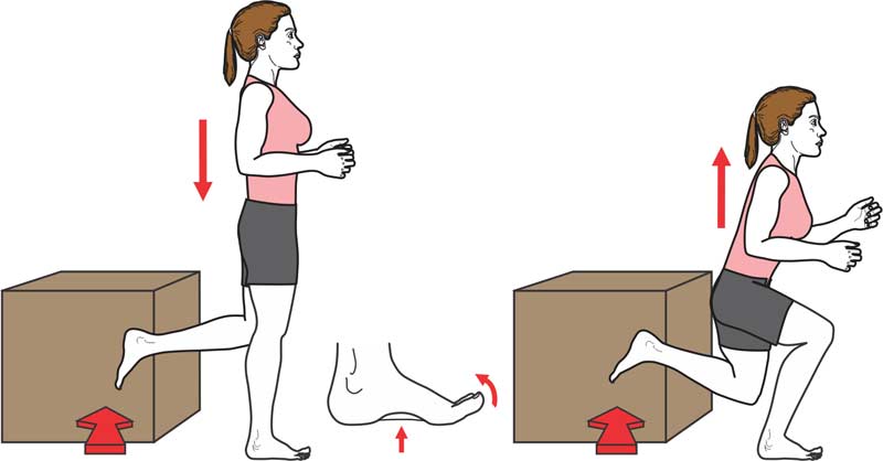 Single Leg Squat with Lateral Press