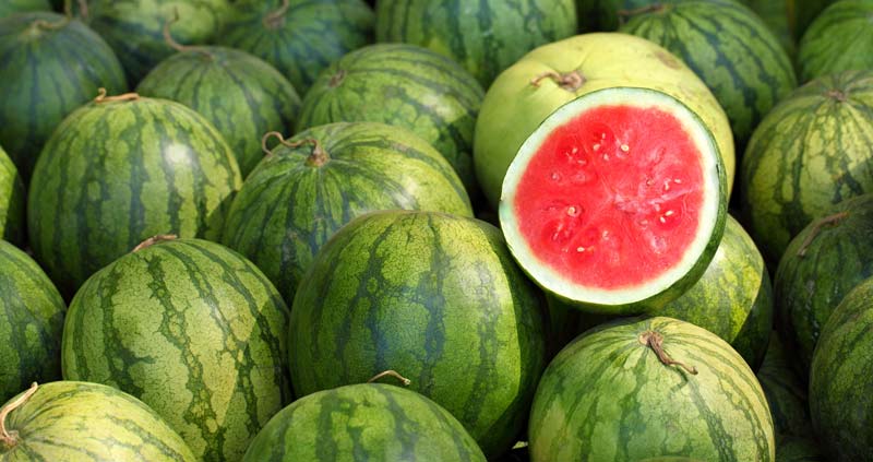 Watermelon