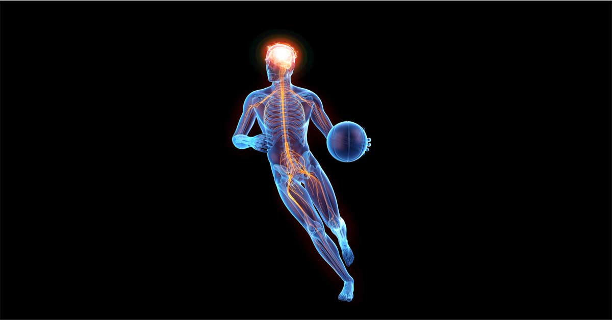 Sports Science