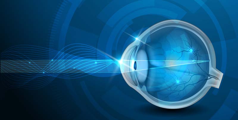 Sport Vision