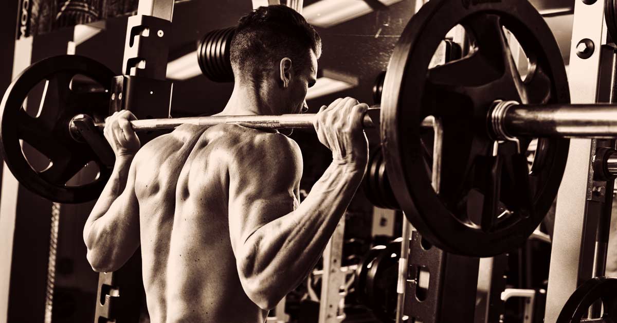 Squat Rack|Bench Press