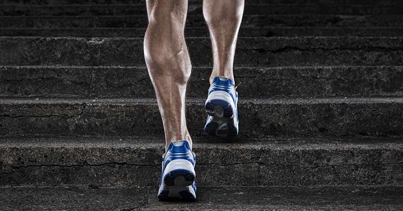 Step Up Exercises|Glute Max Chart|Step Up Modifiers|A person is lifting a barbell in a gym with EXCEED written on the red wall behind them. The gym has various fitness equipment