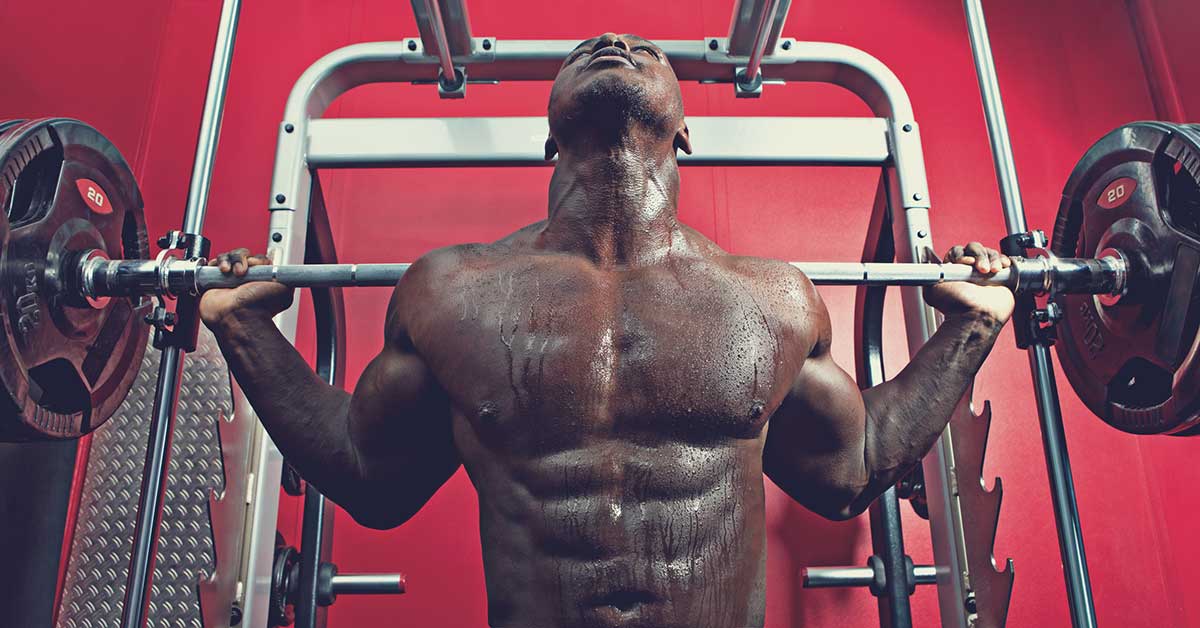 Muscle Dynamics