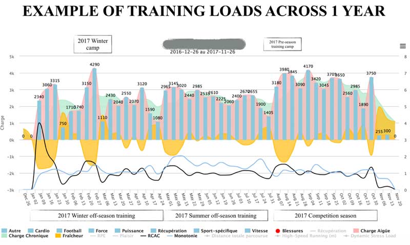 Training Load 1 Year