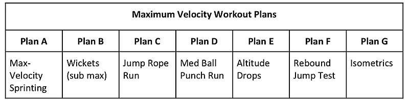 Workout Plans