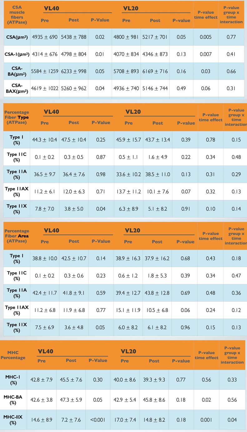 VBT Figure