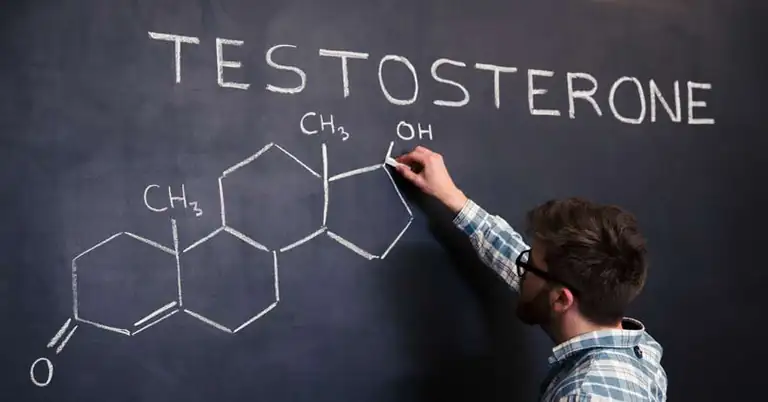 Testosterone|Zinc Supplementation|Athlete Fatique