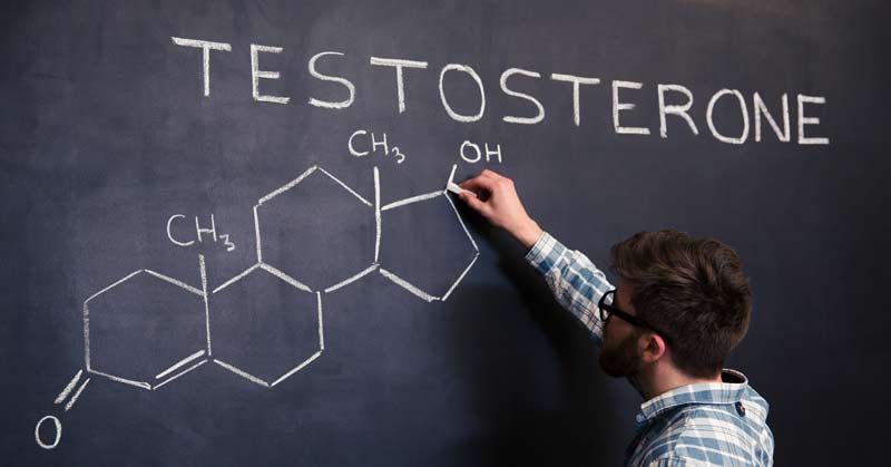 Testosterone|Zinc Supplementation|Athlete Fatique