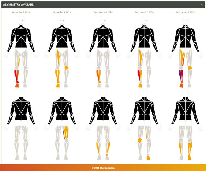 ThermoHuman Chart