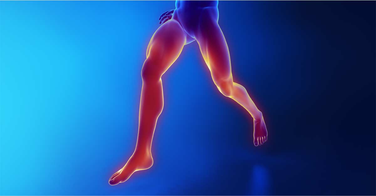 Thermpgraphy|Internal External Chart|Muscle Damage|Thermohuman Chart|Balance Points