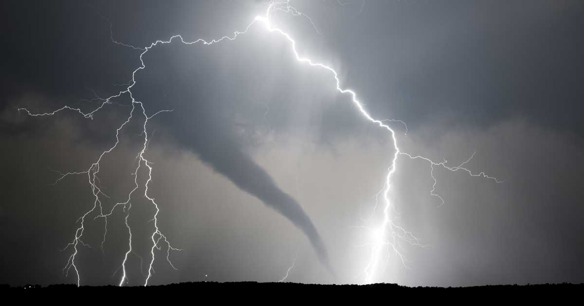 Tornadoes Butterflies