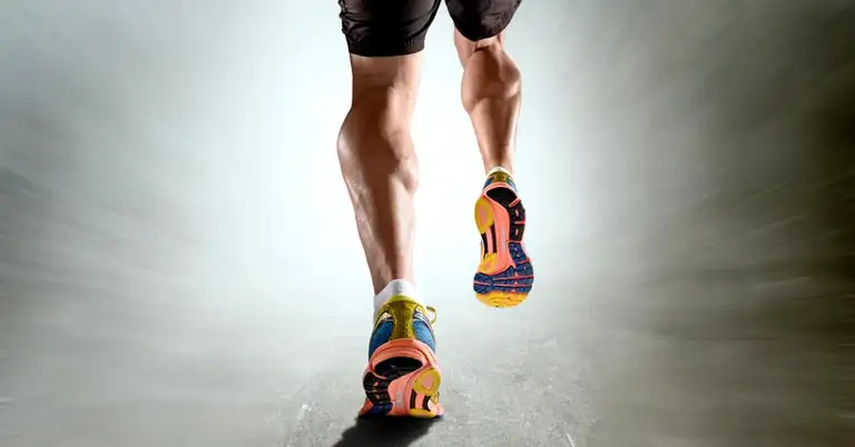 Triathlete|Distance Runner|Friel's Training Triad