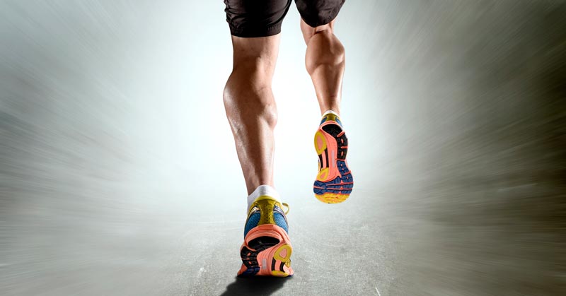 Triathlete|Distance Runner|Friel's Training Triad