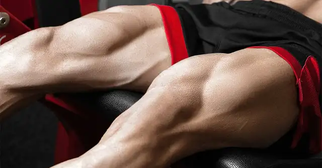 Knee Injury Myths|Knee Joint Anatomy|Open Closed Kinetic Chain|Straight Leg Raise|MCL|Quadriceps Muscle|Vastus Medialis|Lumbar Plexus|ITB Band