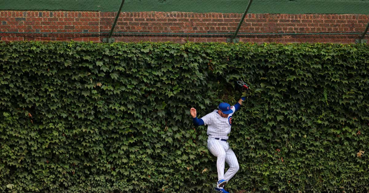 Wrigley Catch