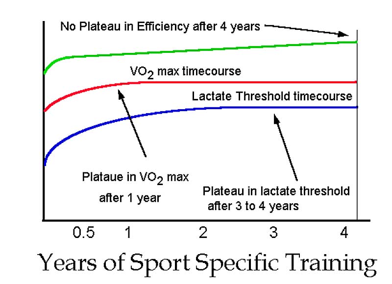 Years Of Training