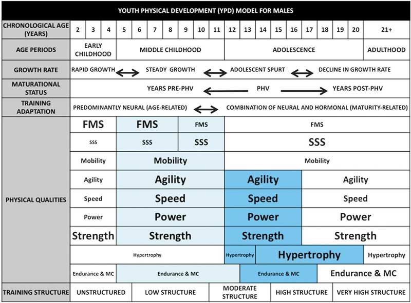 Youth Physical Development Model for Males