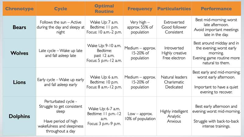Chronotype Chart