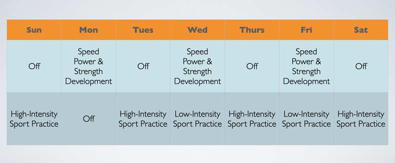 Weekly Plan