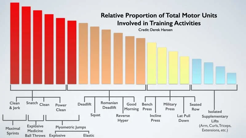 Derek Hansen Motor Unit Chart