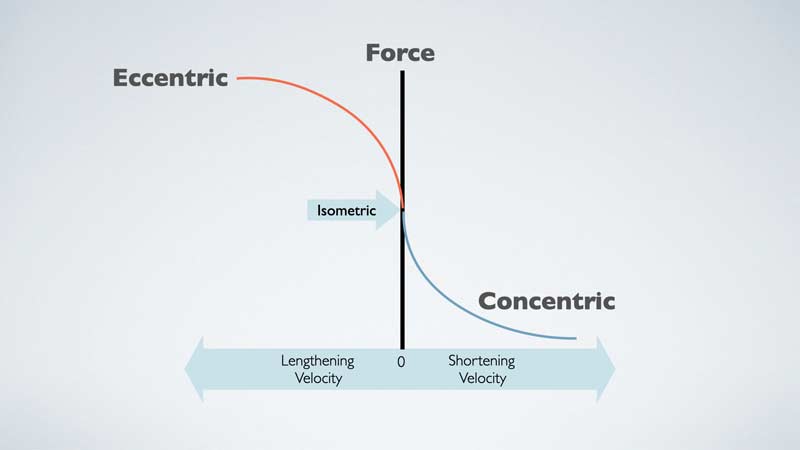 Force Velocity