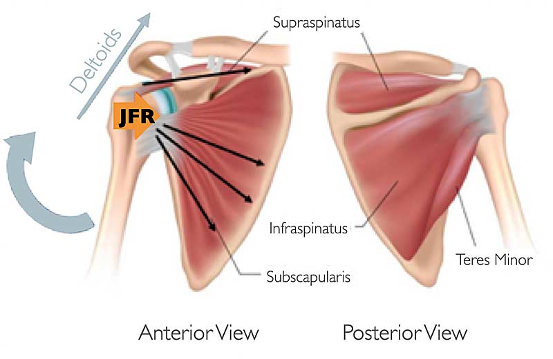 Rotator Cuff