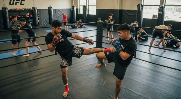 MMA Fighters Sparring