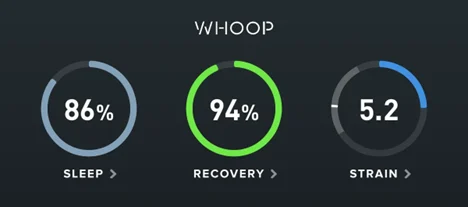 Whoop Dashboard